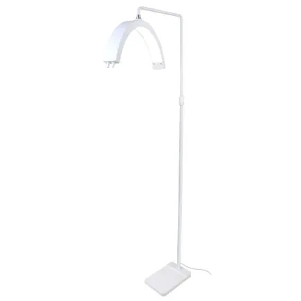 Crescent LED Floor Beauty Lamp